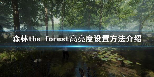 forest画质（forest画质设置）