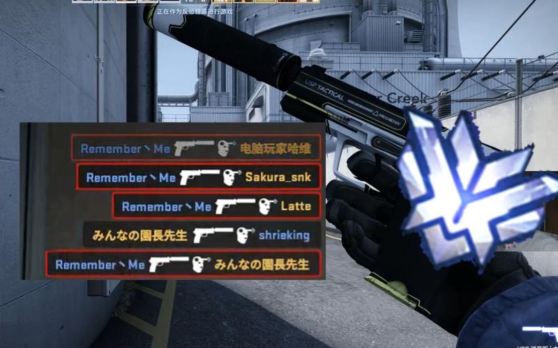 守望先锋和csgo画质（守望先锋跟csgo）